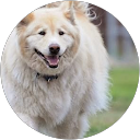 Dena D profile picture